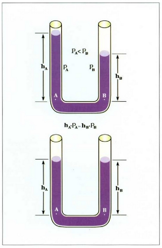 Hidrostatikaren oinarrizko ekuazioari jarraituz, hodi komunikatuetan isurkariak garaiera bera iristen du isurkarr bera badute br hodiek, eta aldiz, alderantziz proportzionala da isurkarien dentsitateari buruz, baldin eta isurkari ez nahasgarriak eta dentsitate desberdinekoak badira. Hodi komunikatuen printzipioa da putzu artesiarren eta etxeetarako ur banaketaren printzipioa, besteak beste.